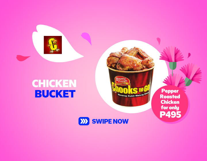 SMOL | Chooks! | Bucket