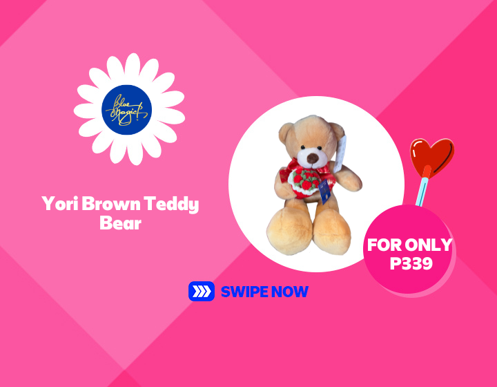 SMMR | BLUE MAGIC | YORI BROWN TEDDY BEAR FOR ONLY P339