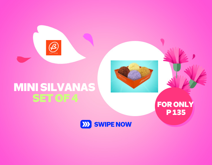 Brownies Mini Silvanas Set of 4 for only P 135