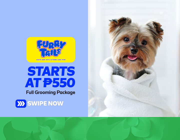 Full Grooming Package for Small Breed Pets starts at P550