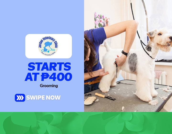 Grooming starts at P400