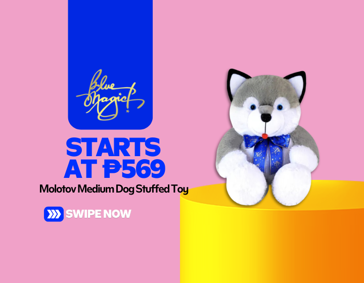  Molotov Medium Dog Stuffed Toy Starting At P569