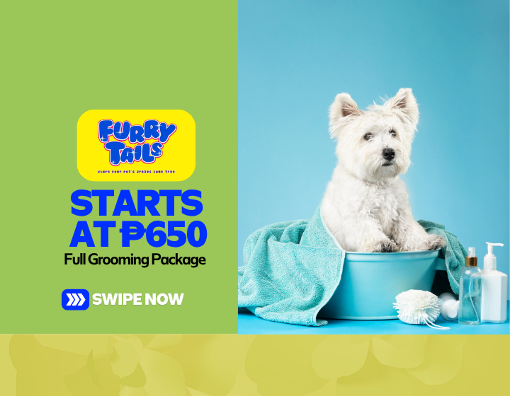 Full Grooming Package Starting At P650
