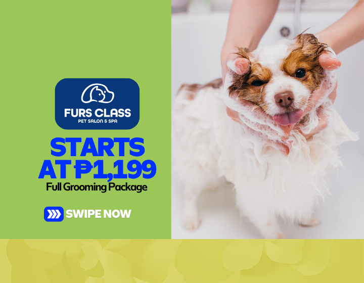 Full Grooming Package Starting At P1,199