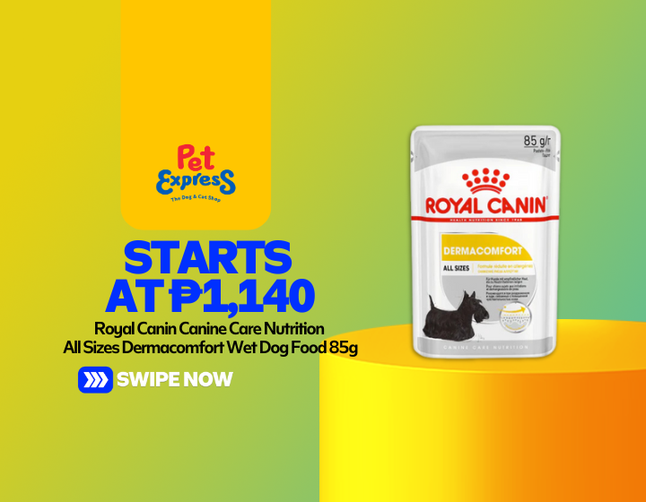 Royal Canin Canine Care Nutrition All Sizes Dermacomfort Wet Dog Food 85g Starting At P1,140