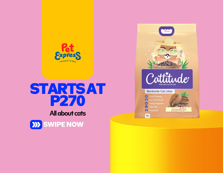 All about cats Starts at P270
