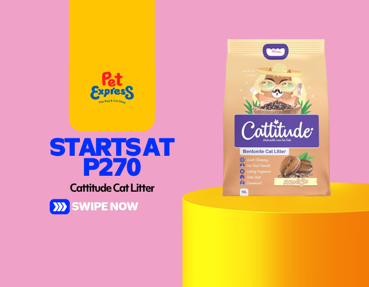 Cattitute Cat Litter Starts at P270