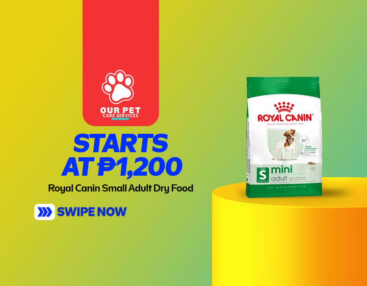 Royal Canin Small Adult Dry Food starts at P1,200