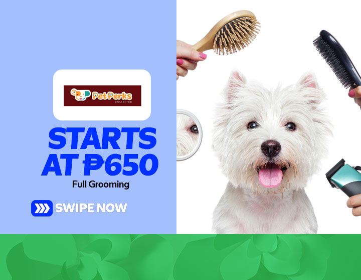 Full Grooming starts at P650