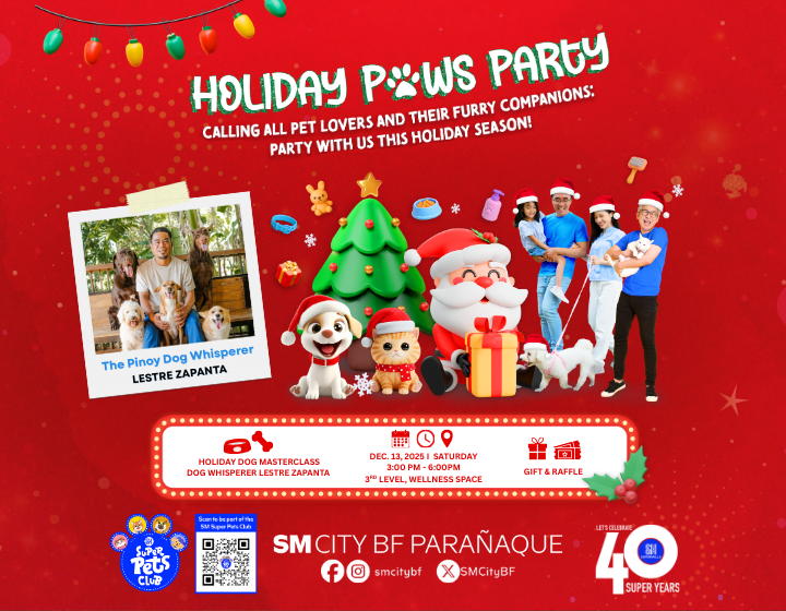 One (1) Pass to HOLIDAY PAWS PARTY