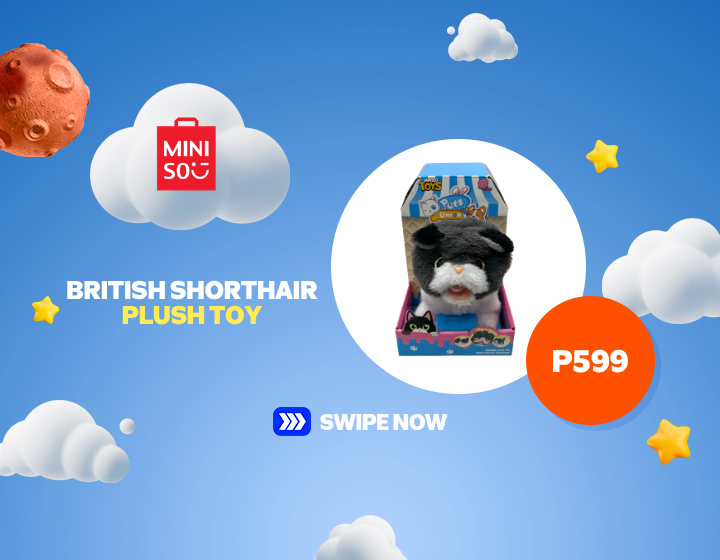 MINISO | BRITISH SHORTHAIR PLUSH TOY