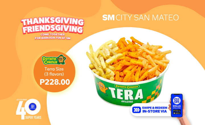 Potato Corner Terra for only P228.00